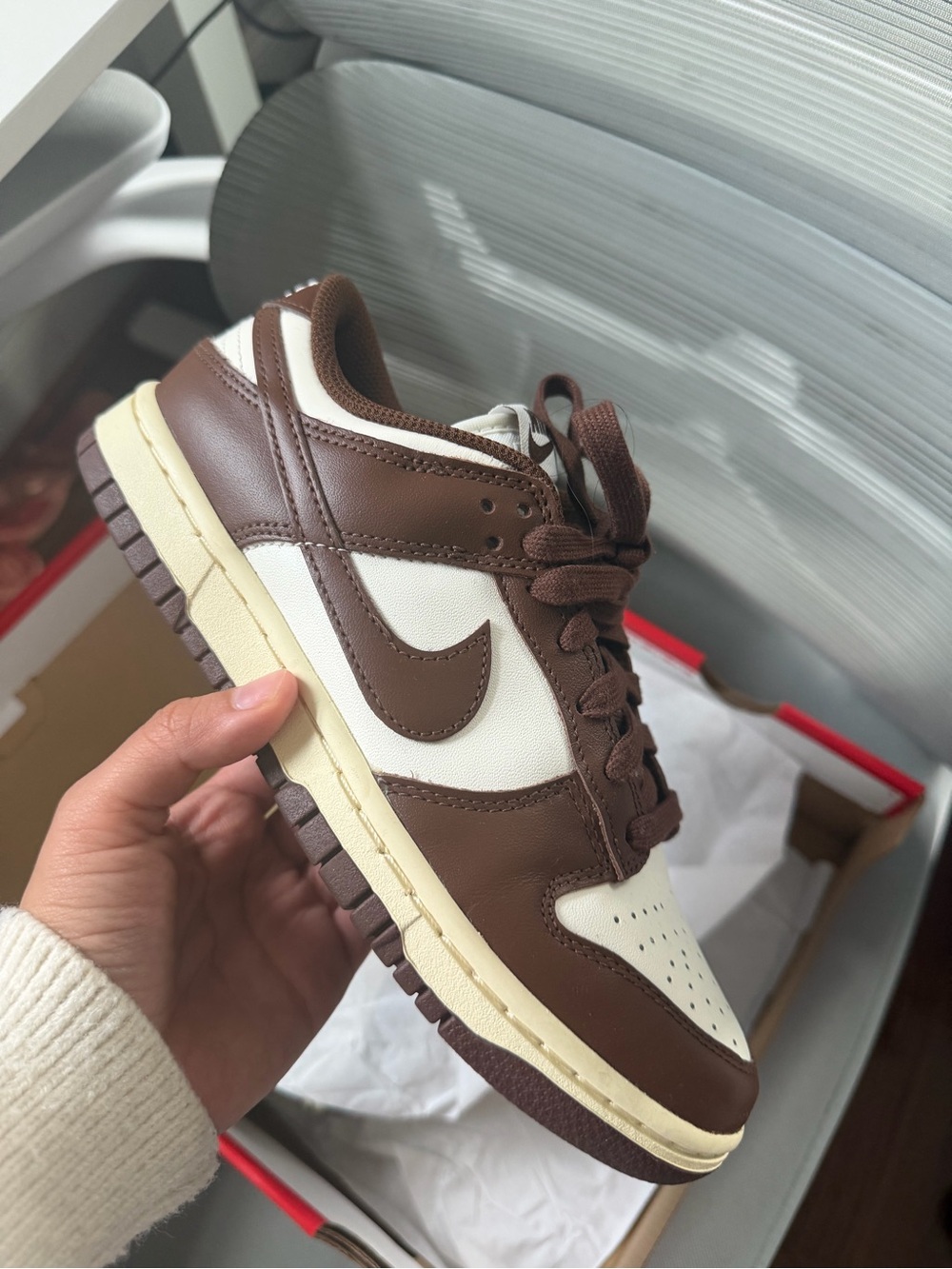 Nike Men’s Low-Top Sneakers in Brown and Cream